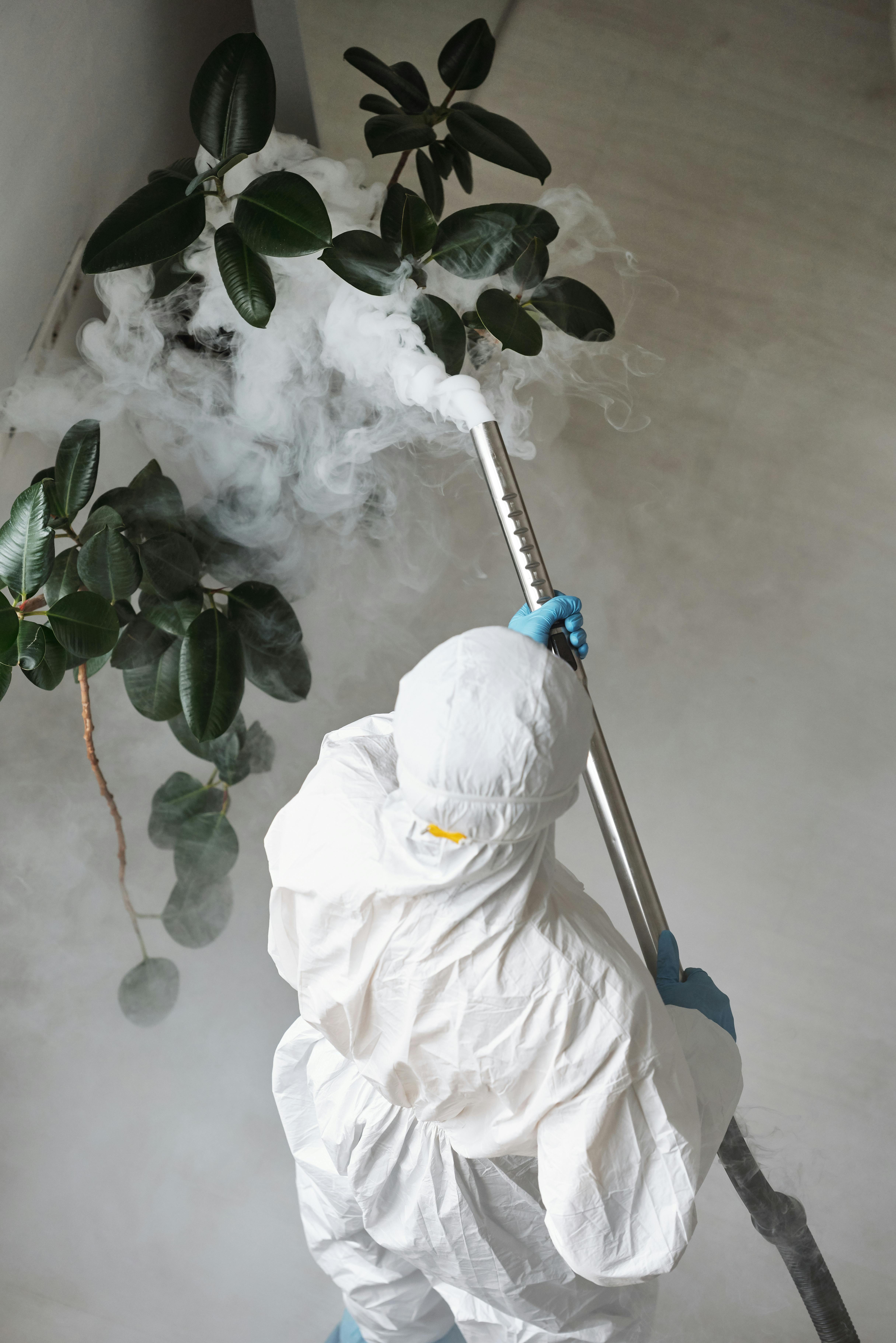 Preventive Pest Treatments