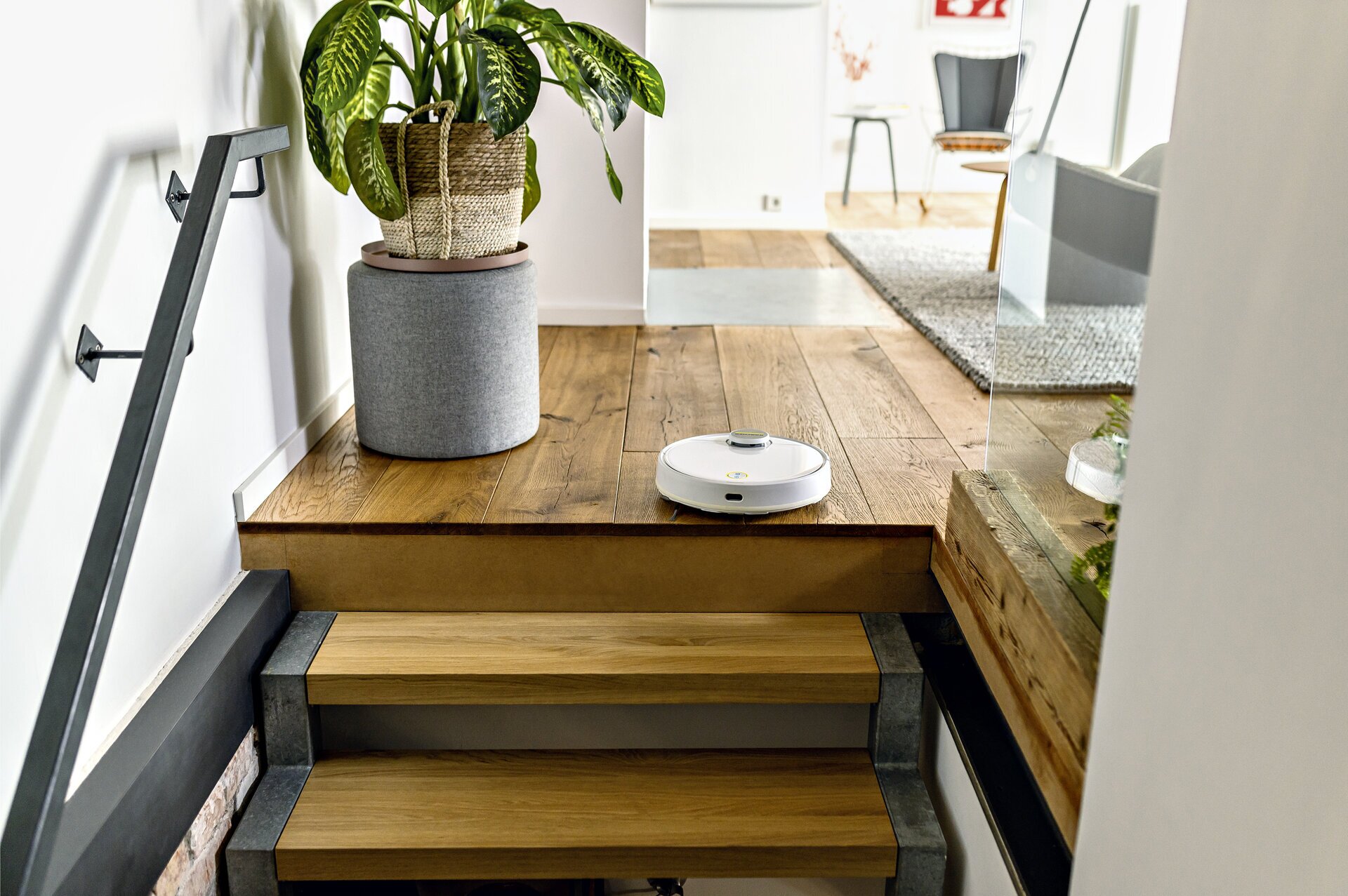 Carpet & Sofa Cleaning